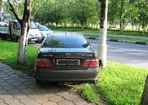 Инспекторам МАДИ разрешили штрафовать за парковку на газонах